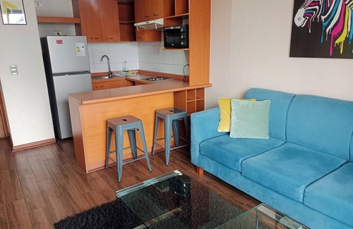 Bellas Artes Apartment | Departamento en Santiago Centro