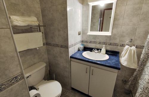 Pucon Apartment | Departamento Los Refugios