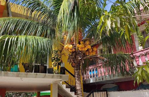Downtown Cancun Apartment | Departamento Rosi Cerca de Juzgado Familiar