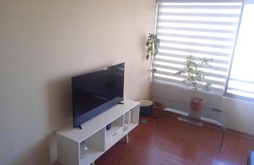 Bellavista Apartment | Departamento Santiago Centro