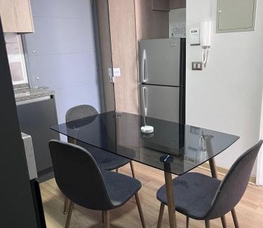 Downtown Santiago Apartment | Departamento Santiago