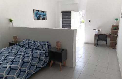 Queretaro Apartment | Departamento Suite