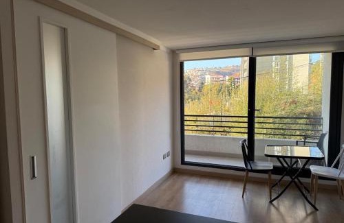 Vina del Mar Apartment | Departamento Viña del Mar