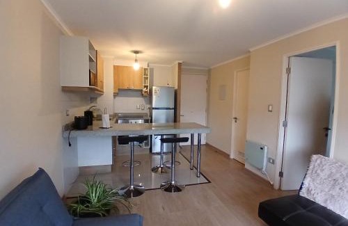 Osorno Apartment | Departamentos MyL 505