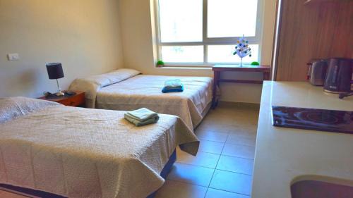 Temuco Apartment | Depto Apart Hotel Atenea Centro Temuco