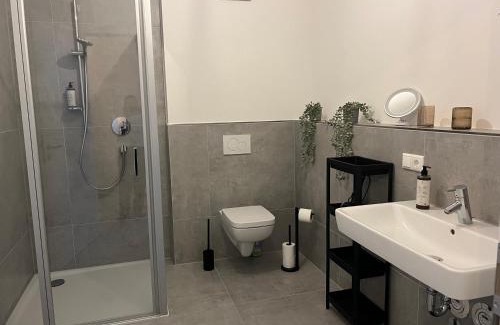 Mainz-Bingen Apartment | Design am Rhein I Zentral I Aufzug I Balkon I Parken