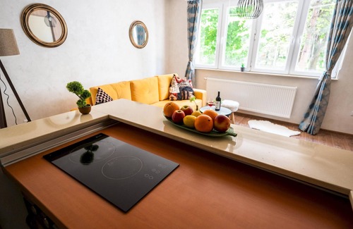 Novo Sarajevo Apartment | Design Studio Apartment near the Center