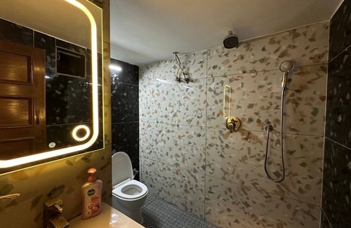 Janakpuri House | Desire Courtyard