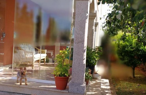 Catasol House | Despertar con el sonido de los pajaros