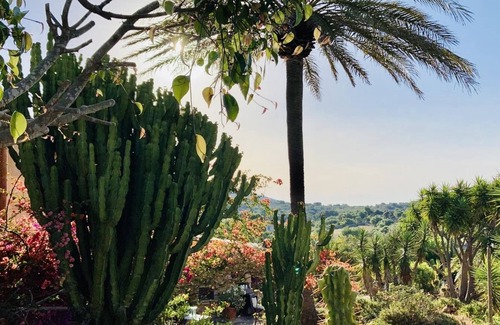 Son Macia House | Detached guest house on child-free estate FincaOase Can Negre