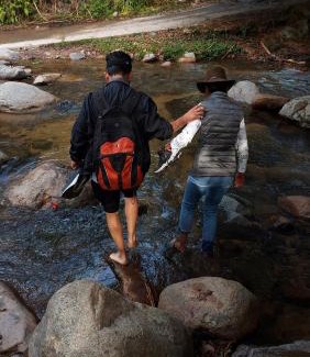 Valledupar Bed & Breakfast | Dewachen, Retiro y Jardín Contemplativo