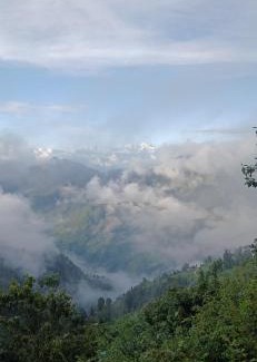 Dhanaulti Hotel | Dhanolti Village Resort Dhanaulti