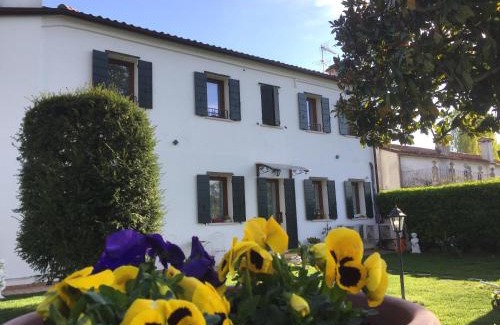 Dolo Bed & Breakfast | Dimora Naviglio