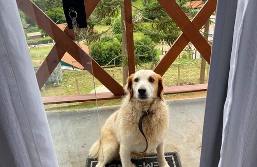 Camanducaia Ski Chalet | Diniz Dream Cottage 3