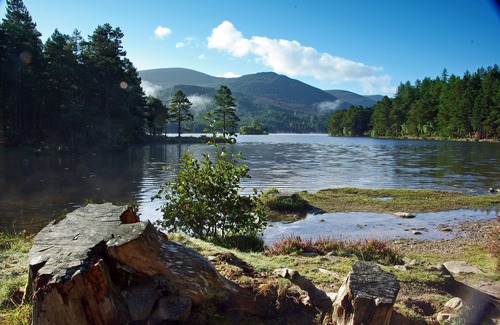 Aviemore House | Discover the charm of Munro View, a delightful two-bedroom semi-detached single-storey property that