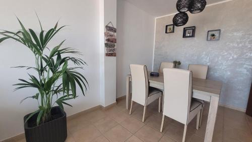 Tejina Apartment | Discover the north of the island of Tenerife