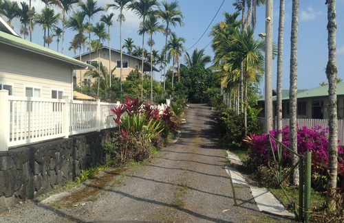 Hilo Apartment | Discover Tranquility at Palm Studio: Your Gateway to Nature in Hilo Town!