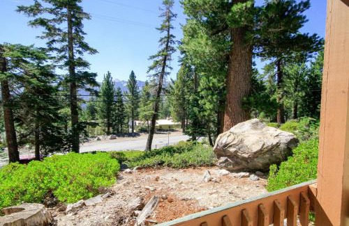 Mammoth Lakes House | Discovery 4 #113