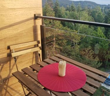 Divcibare Apartment | Divčibare Planinski mir A19