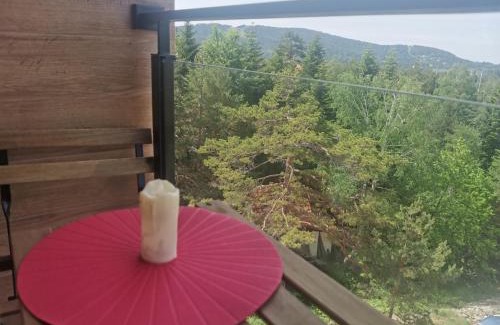 Divcibare Apartment | Divčibare Planinski mir A19