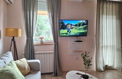 Arandelovac Apartment | Divna