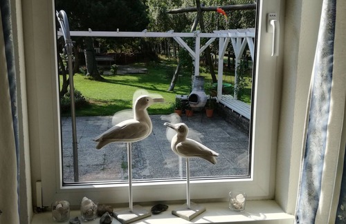 Pruchten Apartment | Do you love peace and yet want to be very close to the water? Let's go !