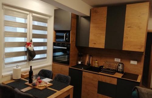 Jahorina Apartment | Doctor's house