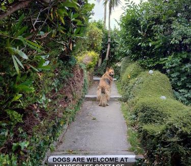 West Looe House | dog friendly nancecliff cottages