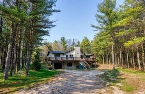 Sturgeon Bay Cabin | Dog-Friendly! Pine Tree Retreat
