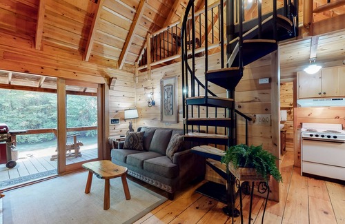 Blue Ridge Cabin | Dog-friendly waterfront cabin with a firepit & porch swing