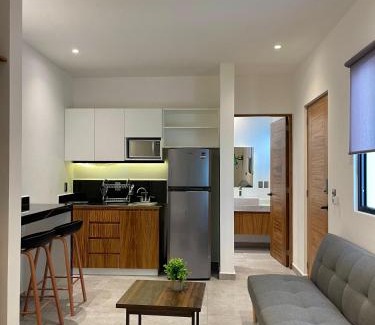Luis Donaldo Colosio Apartment | DOI 45 Apartment