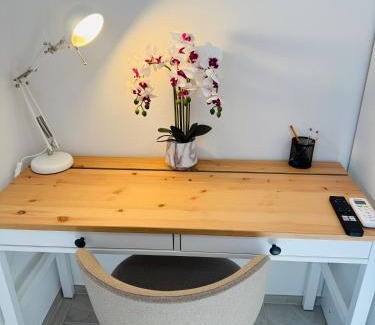 Pisa City Centre Apartment | Dolce Casa JeS