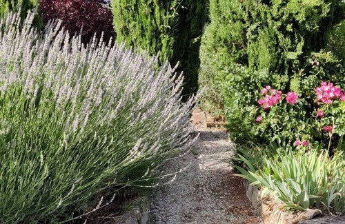 Badia Tedalda House | Dolce Vita Villa