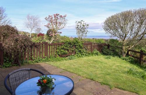 Dolphin House | Dolphin Bach