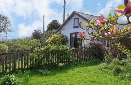 Dolphin House | Dolphin Bach