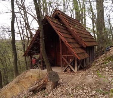 Zagubica House | Domaćinstvo Jovanović