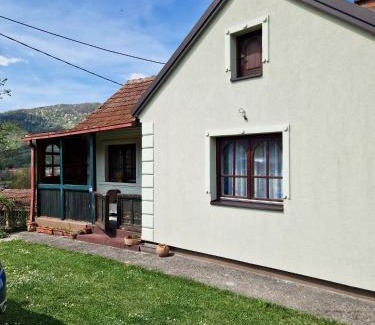 Bajina Basta House | Domacinska kuca
