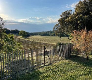 Provence House | Domaine Camp Fourca