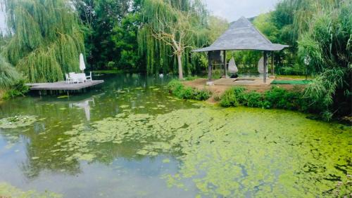 Pont-l'Eveque House | Domaine de la cour
