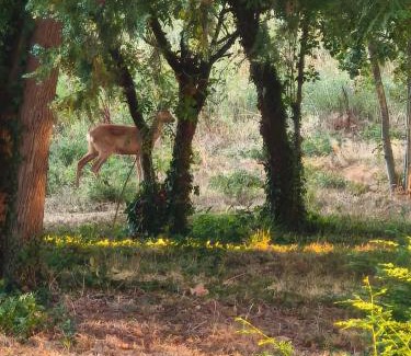 Castelsarrasin House | Domaine De Mathabiau