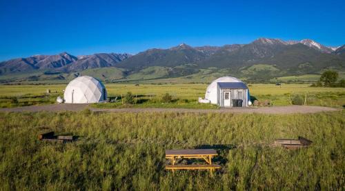Livingston Apartment | Dome #1