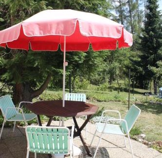 Bitov House | Domek u lesa