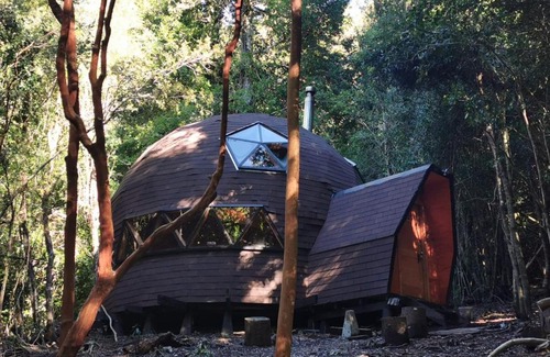 Panguipulli Apartment | Domos Hijos del Bosque