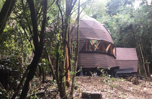 Panguipulli Apartment | Domos Hijos del Bosque