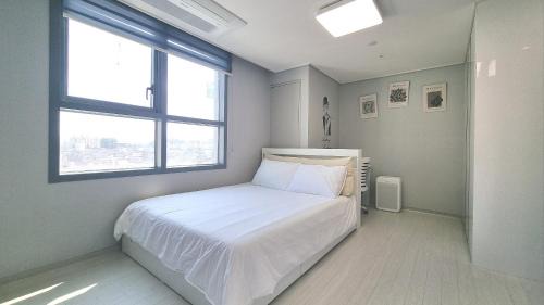 Donghae Hotel | Donghae SnD Oceancity Hotel