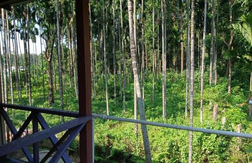 Alipurduar Apartment | DOOARS VELLEY HOME STAY