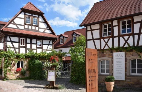Pleisweiler-Oberhofen House | Doppelzimmer Dusche/wc Kat.2 - Landhotel Hauer