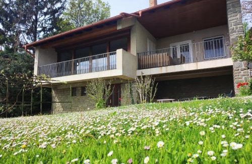 Tihany House | Dorka Villa
