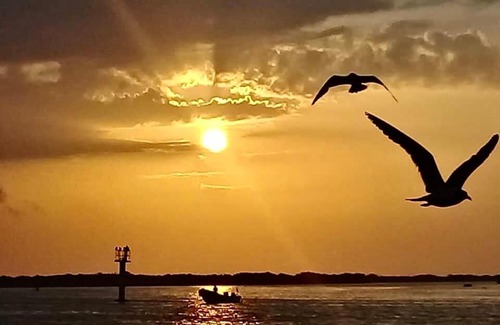 Puerto Juarez Bed & Breakfast | Dorms by the Beach