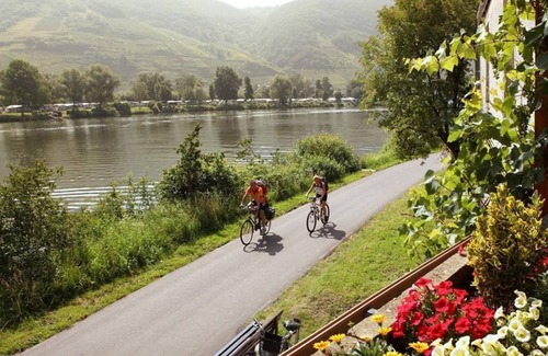 Senhals House | Double Room with Moselle View - Hotel Weinhaus Halfenstube